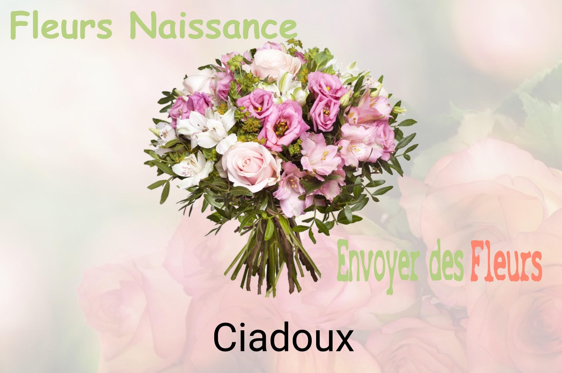Bouquet de fleurs de naissance livré à Ciadoux
