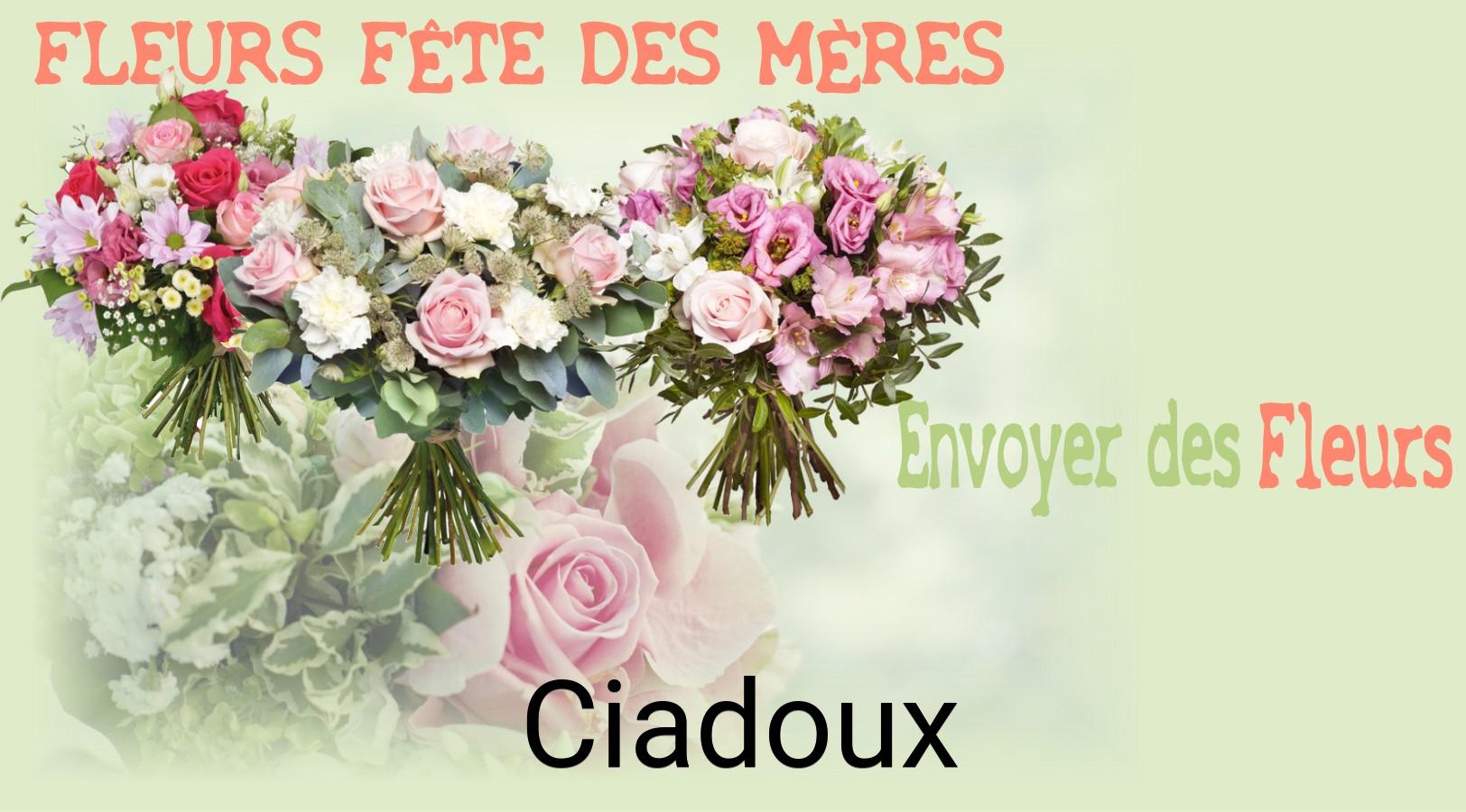 Bouquet de Fête des Mères livré à Ciadoux